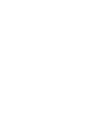 Visual icon of a firewall.