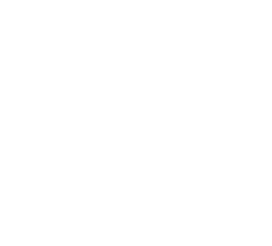 Visual icon of an interconnected digital system with a padlock, representing data protection.